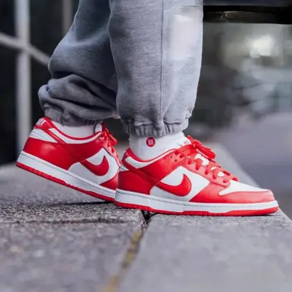 SB Dunk Low Pro Red Premium Shoes For Men